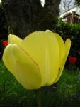 DSCN3079.jpg