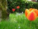 DSCN3080.jpg