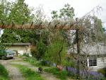 DSCN3082.jpg