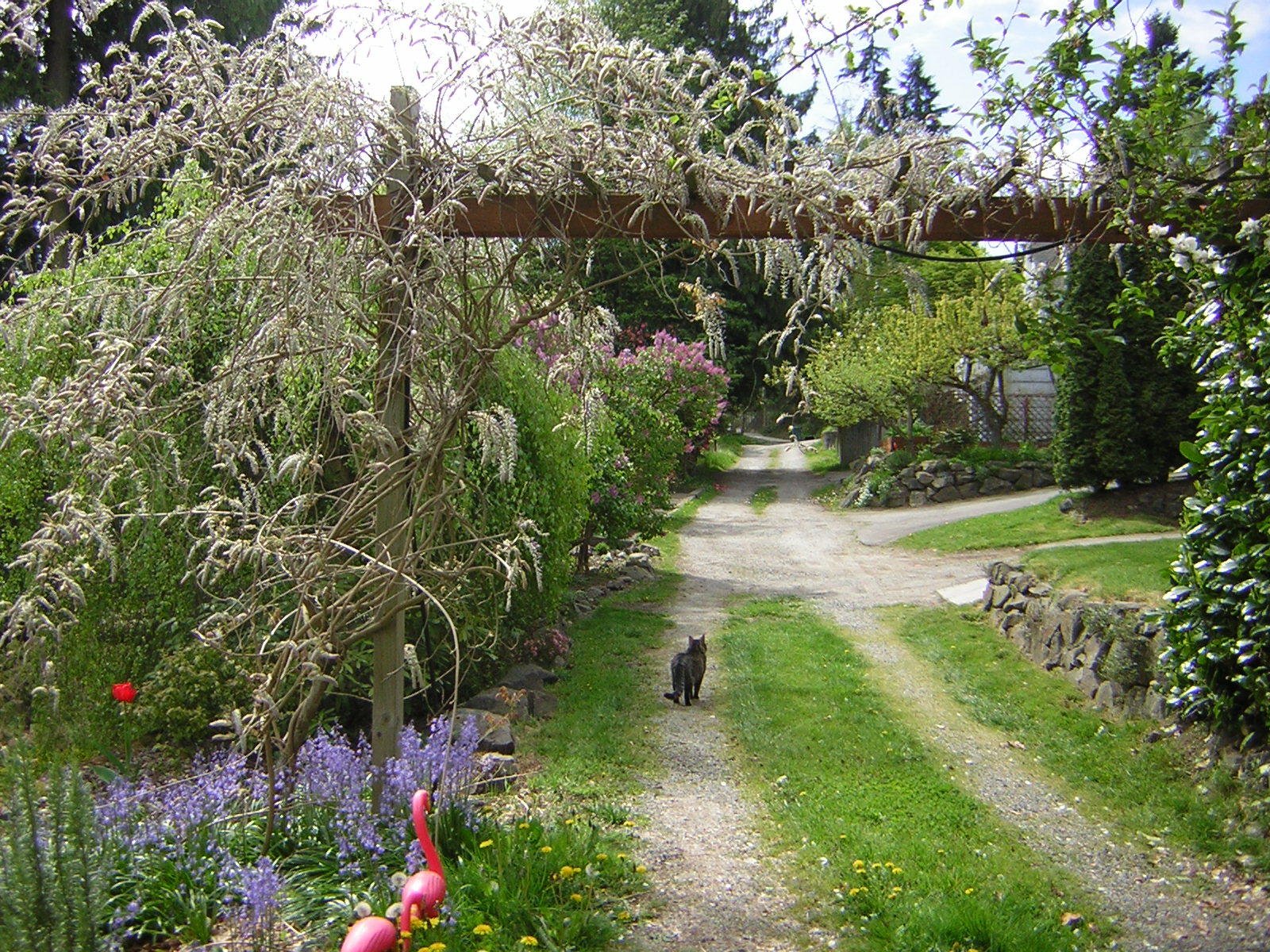 DSCN3083.jpg