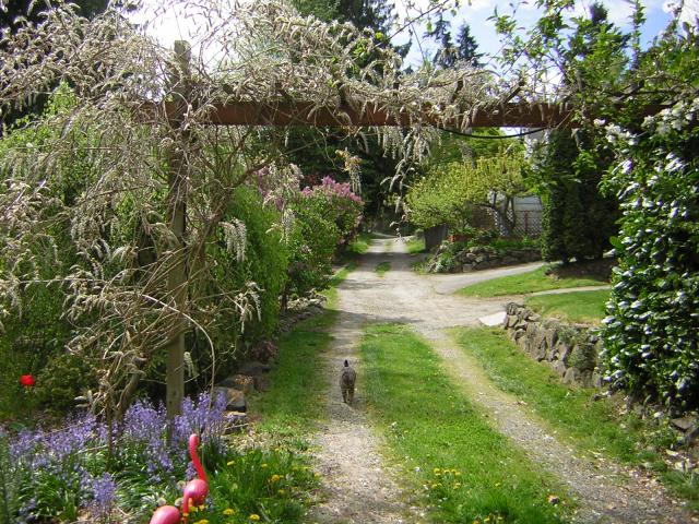 DSCN3084.jpg