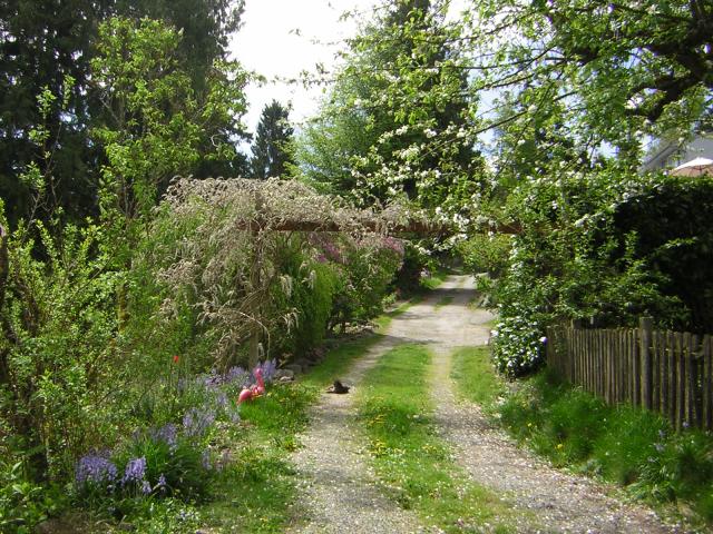 DSCN3085.jpg