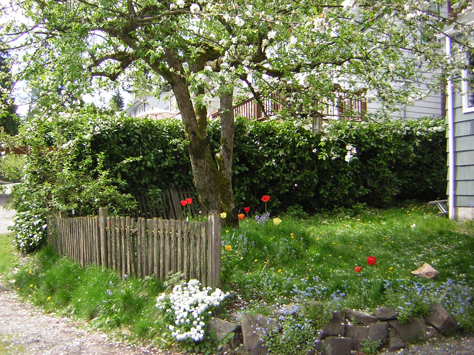 DSCN3086.jpg