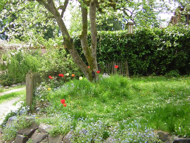 DSCN3087.jpg