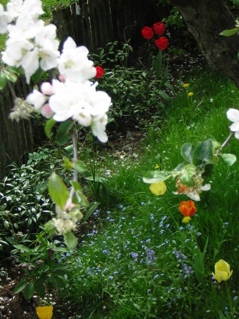 DSCN3088.jpg