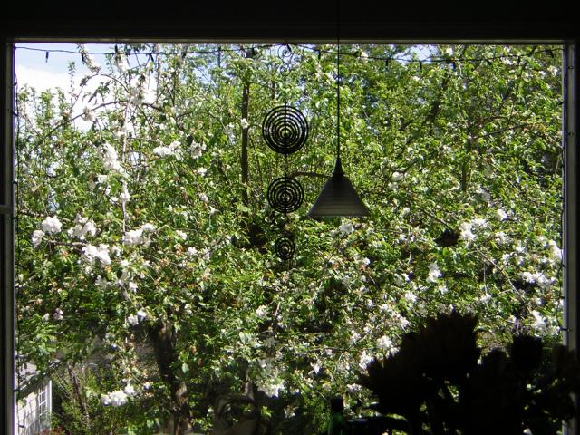 DSCN3091.jpg