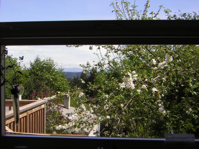 DSCN3092.jpg