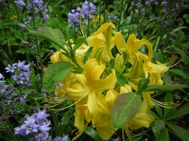 DSCN3093.jpg