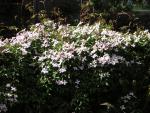 DSCN3094.jpg