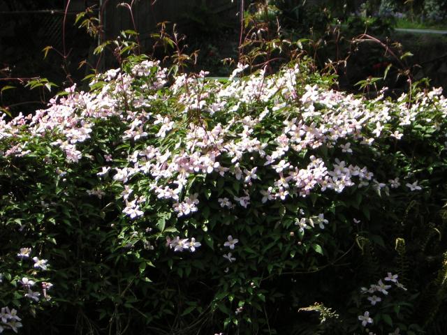 DSCN3094.jpg
