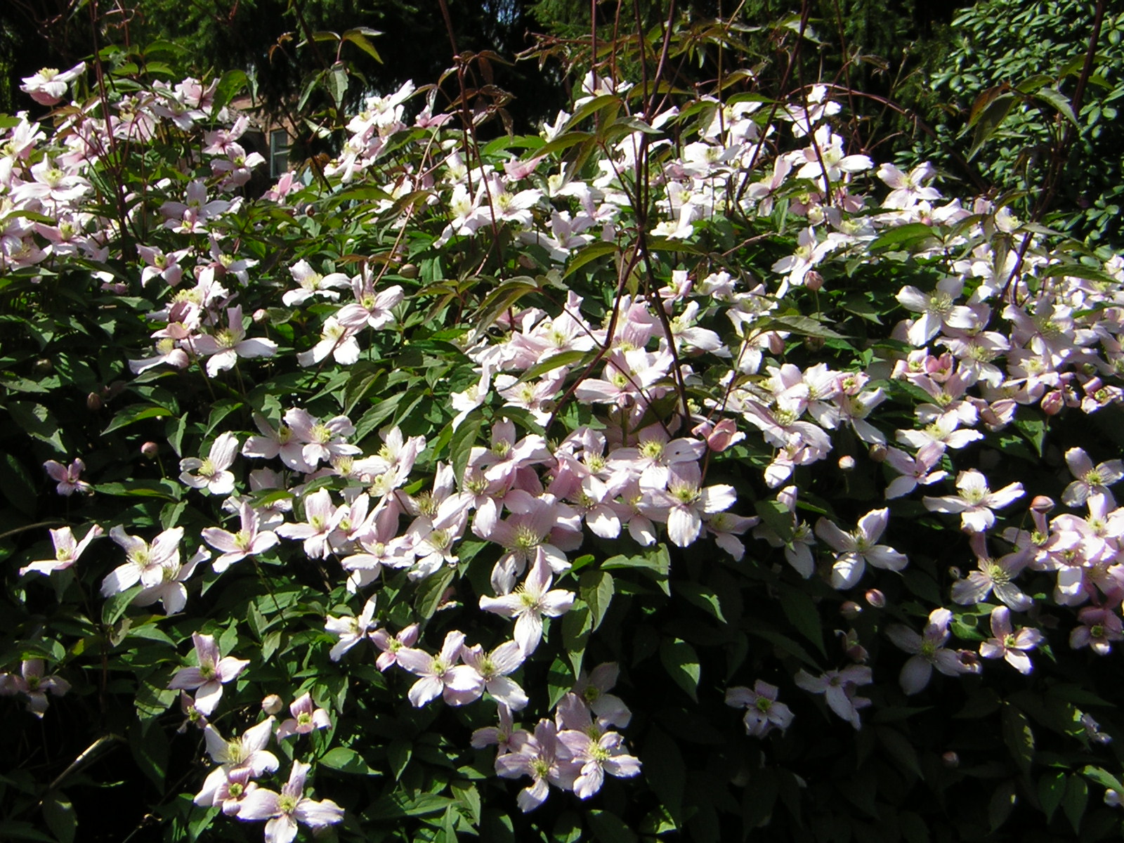 DSCN3099.jpg