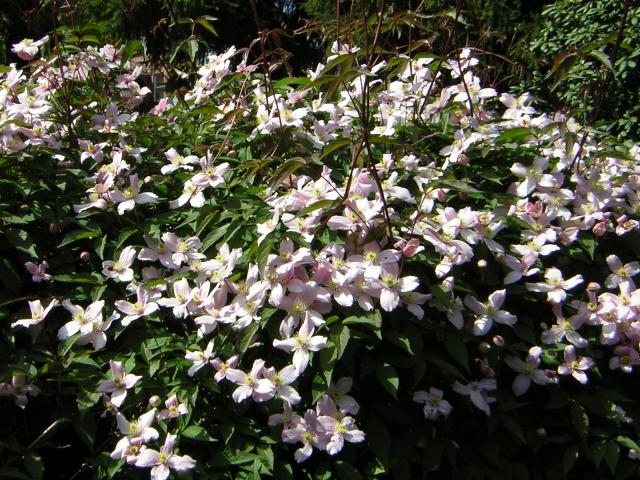 DSCN3099.jpg