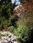 DSCN3103.jpg