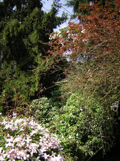 DSCN3103.jpg