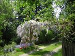 DSCN3104.jpg
