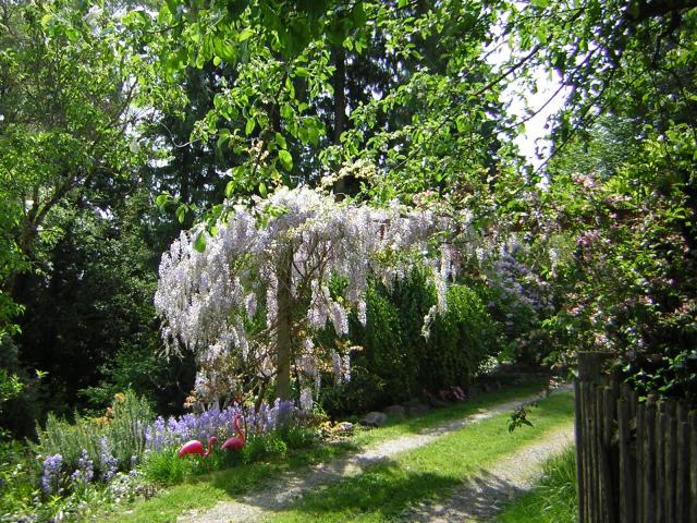 DSCN3104.jpg