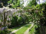 DSCN3105.jpg