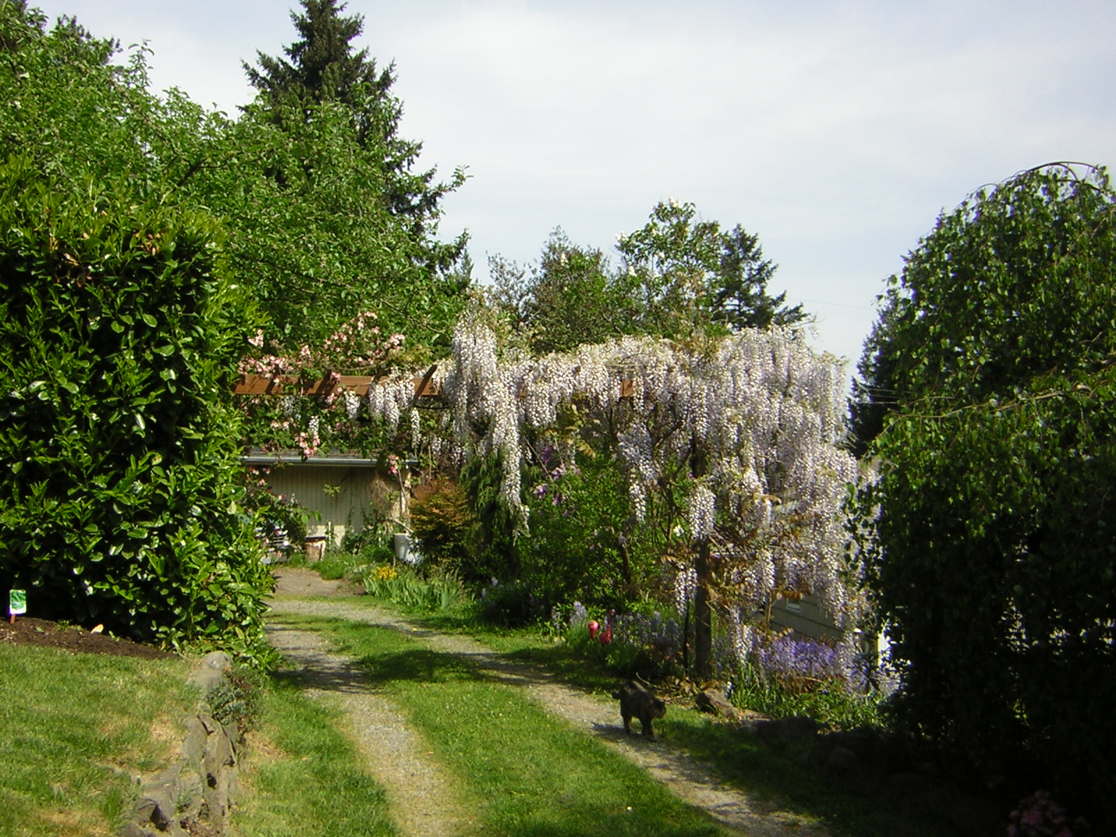 DSCN3106.jpg