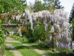 DSCN3107.jpg