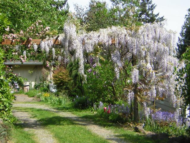 DSCN3107.jpg