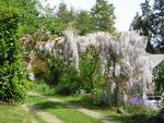 DSCN3108.jpg