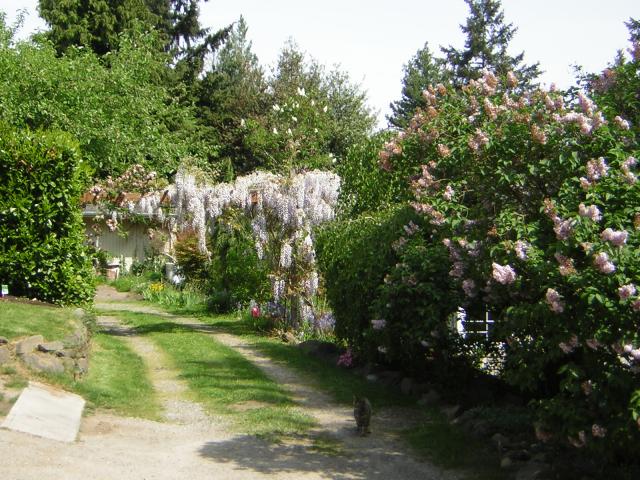 DSCN3109.jpg