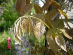 DSCN3111.jpg