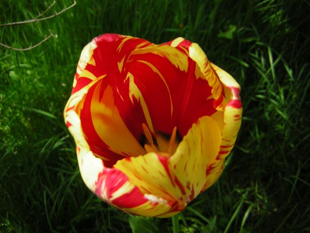 DSCN3113.jpg