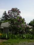 DSCN3114.jpg