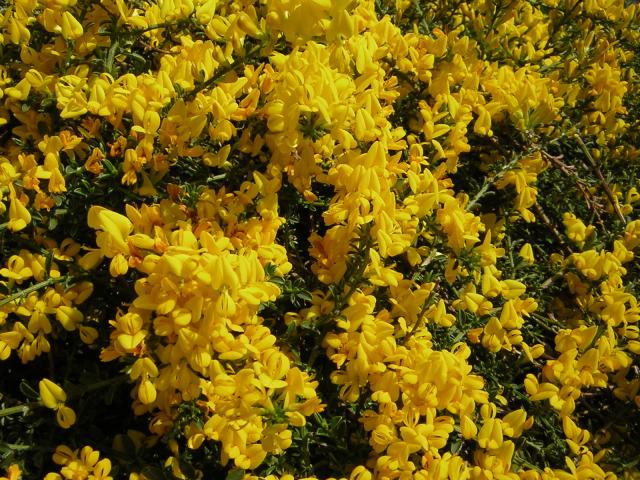 DSCN3115.jpg