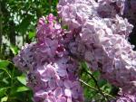 DSCN3117.jpg