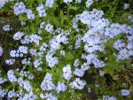 DSCN3118.jpg