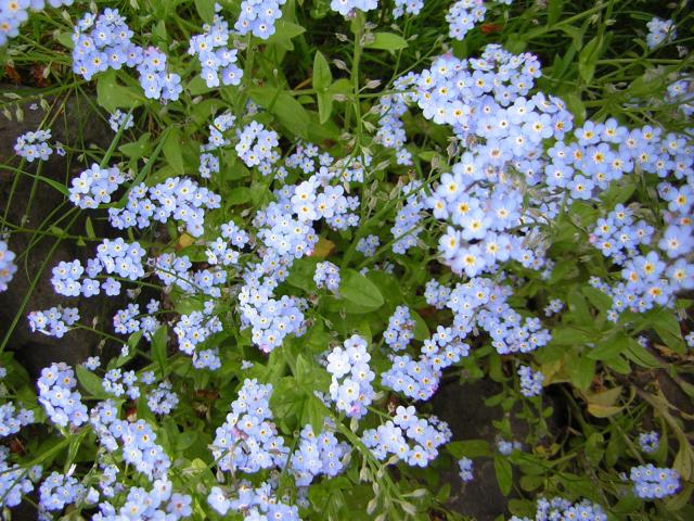 DSCN3118.jpg