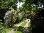 DSCN3241.jpg