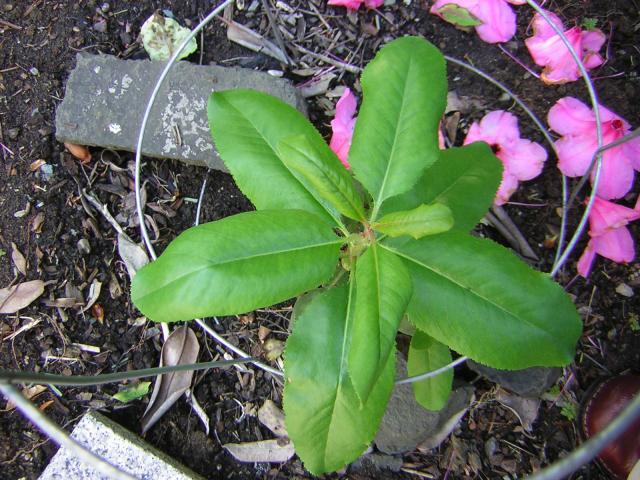 DSCN3324.jpg
