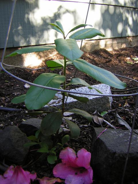 DSCN3326.jpg