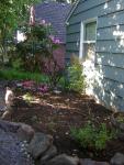 DSCN3327.jpg