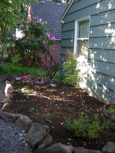 DSCN3327.jpg