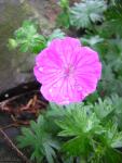 DSCN3328.jpg