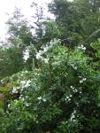 DSCN3329.jpg
