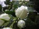 DSCN3331.jpg