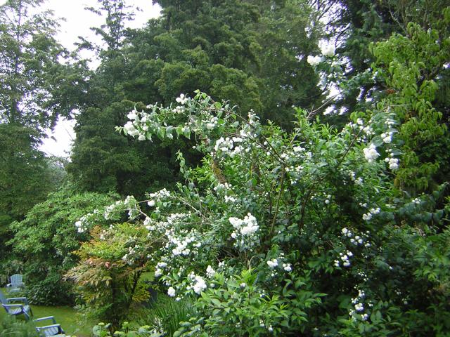 DSCN3333.jpg