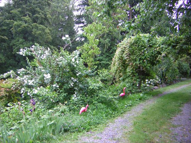 DSCN3335.jpg