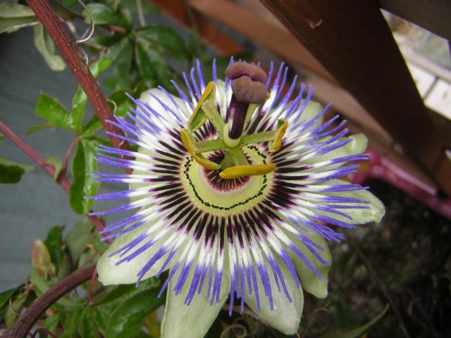 DSCN3341.jpg