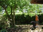 DSCN3120.jpg