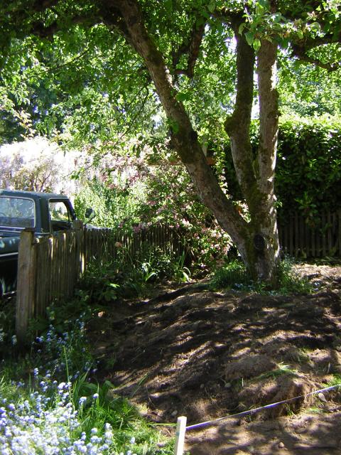 DSCN3121.jpg