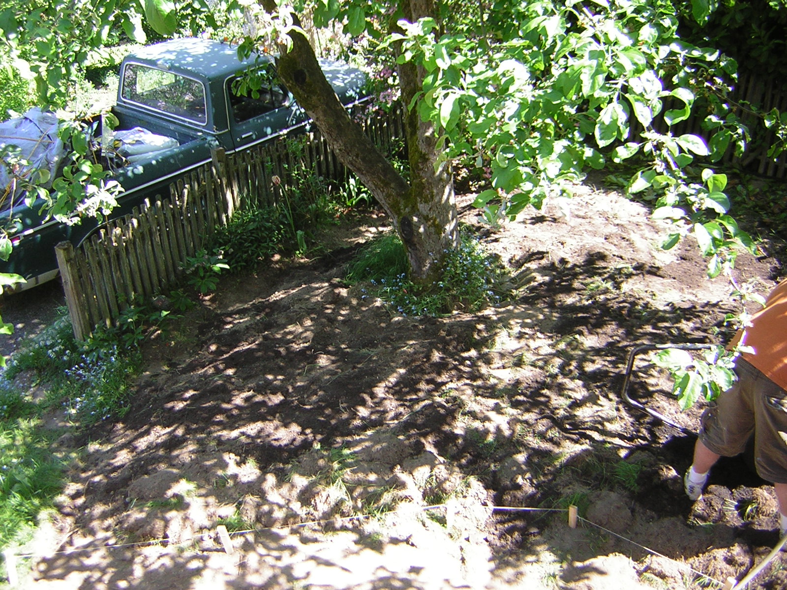 DSCN3124.jpg