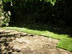 DSCN3126.jpg