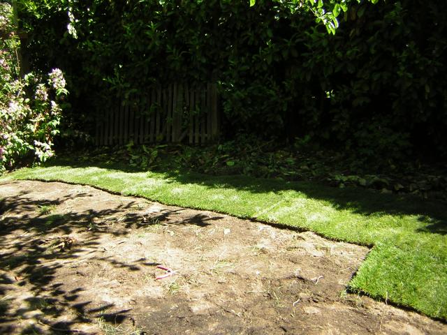DSCN3126.jpg