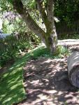 DSCN3127.jpg
